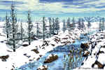 Firstsnow.jpg (180388 bytes)